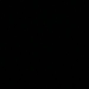 Meet your Posher, Presley